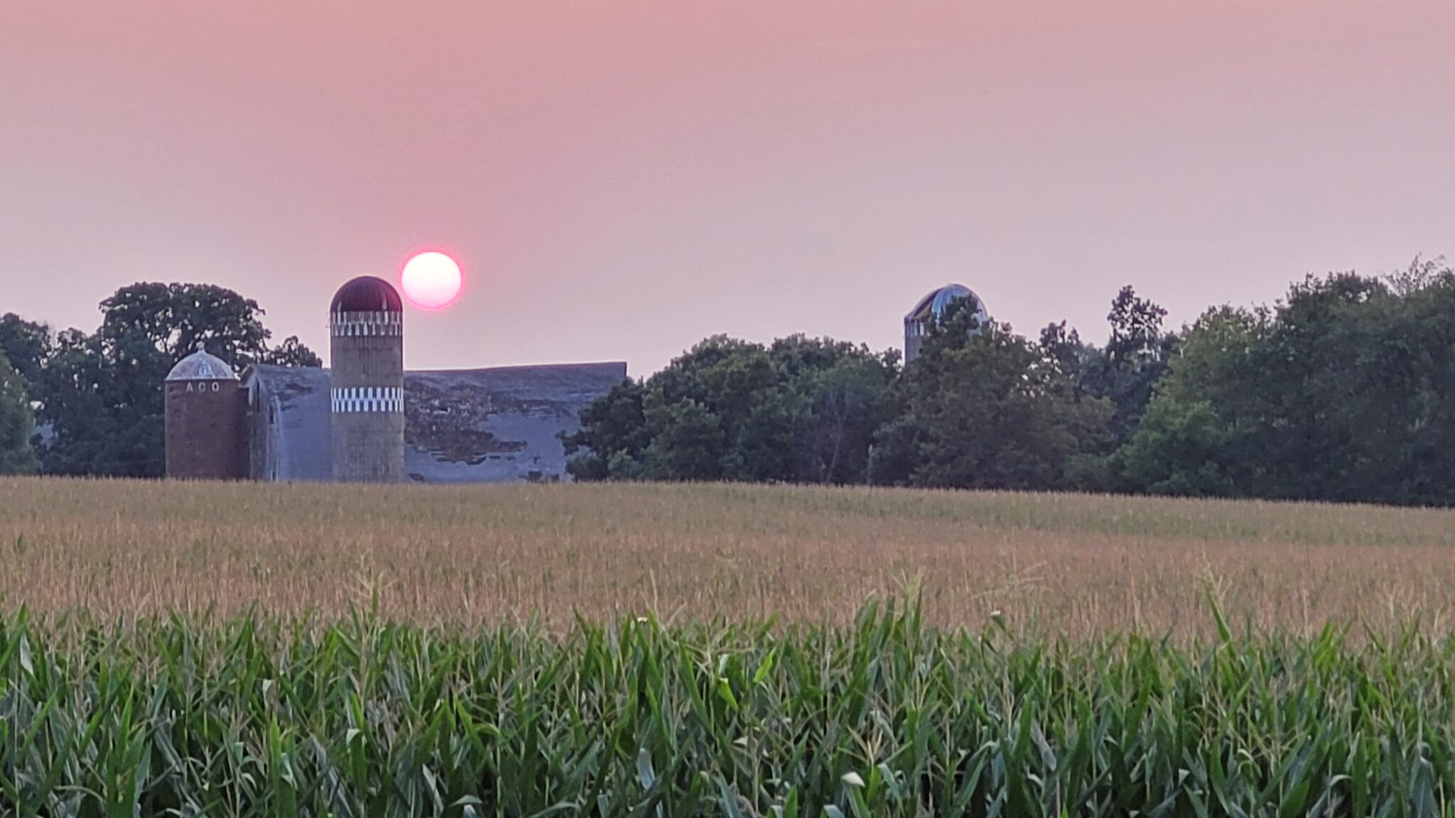 Links Township of Stanton, MN